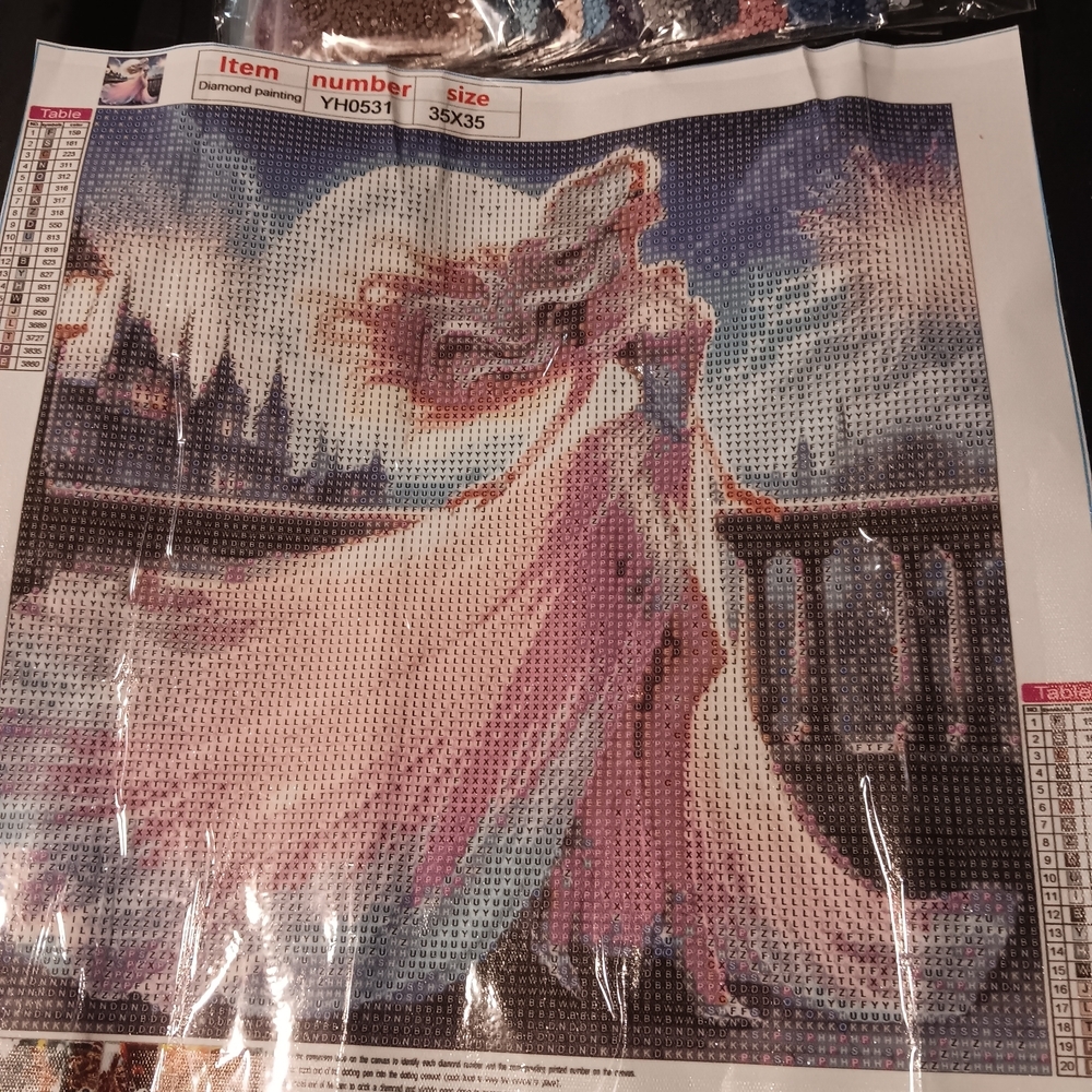 Elegant Princess Diamond Painting Kit 35x35